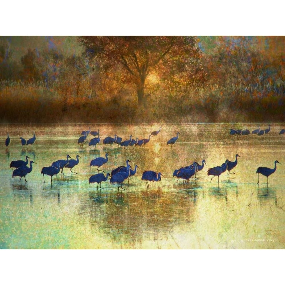 Cranes in Mist II Poster Print - Chris Vest-VARPDX79978GG Image 1