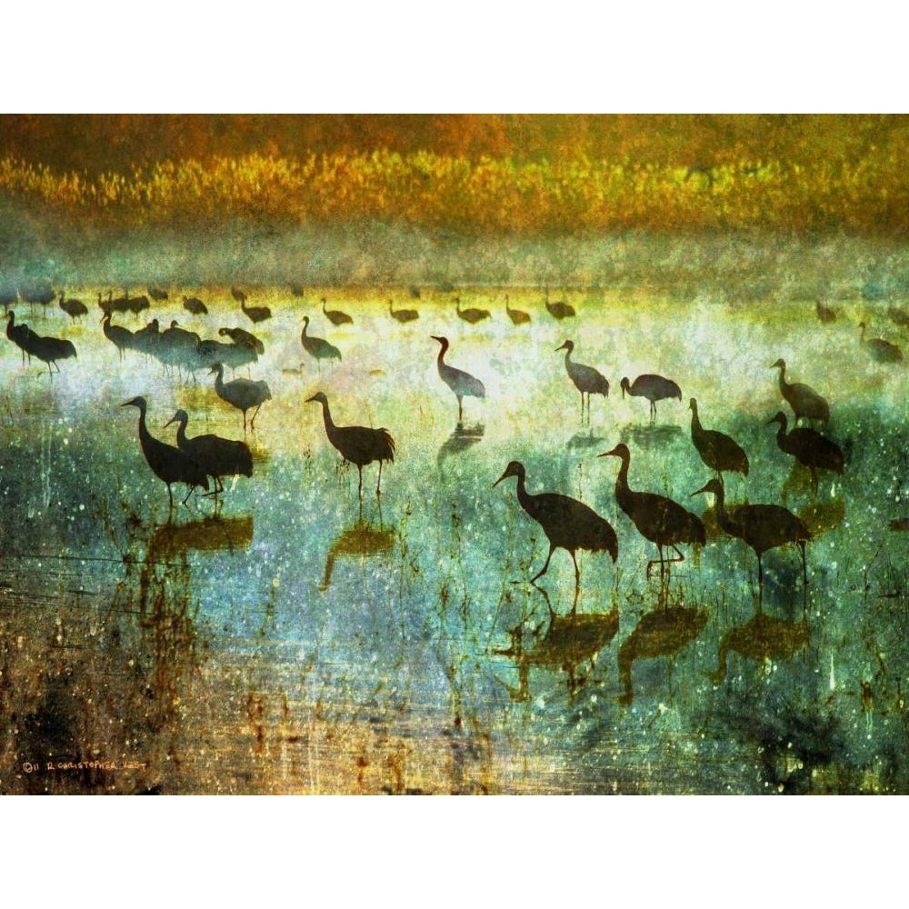 Cranes in Mist I Poster Print - Chris Vest-VARPDX79977GG Image 1