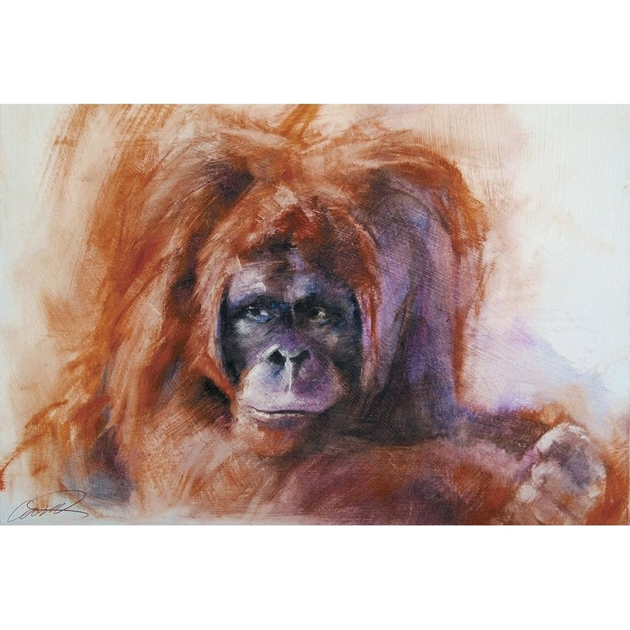 The Daydreamer Orangutan by Robert Campbell-VARPDX80090 Image 1