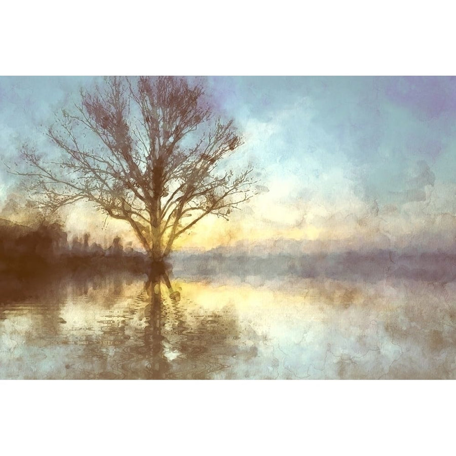 Misty Series 6 by Kim Curinga-VARPDX80131 Image 1