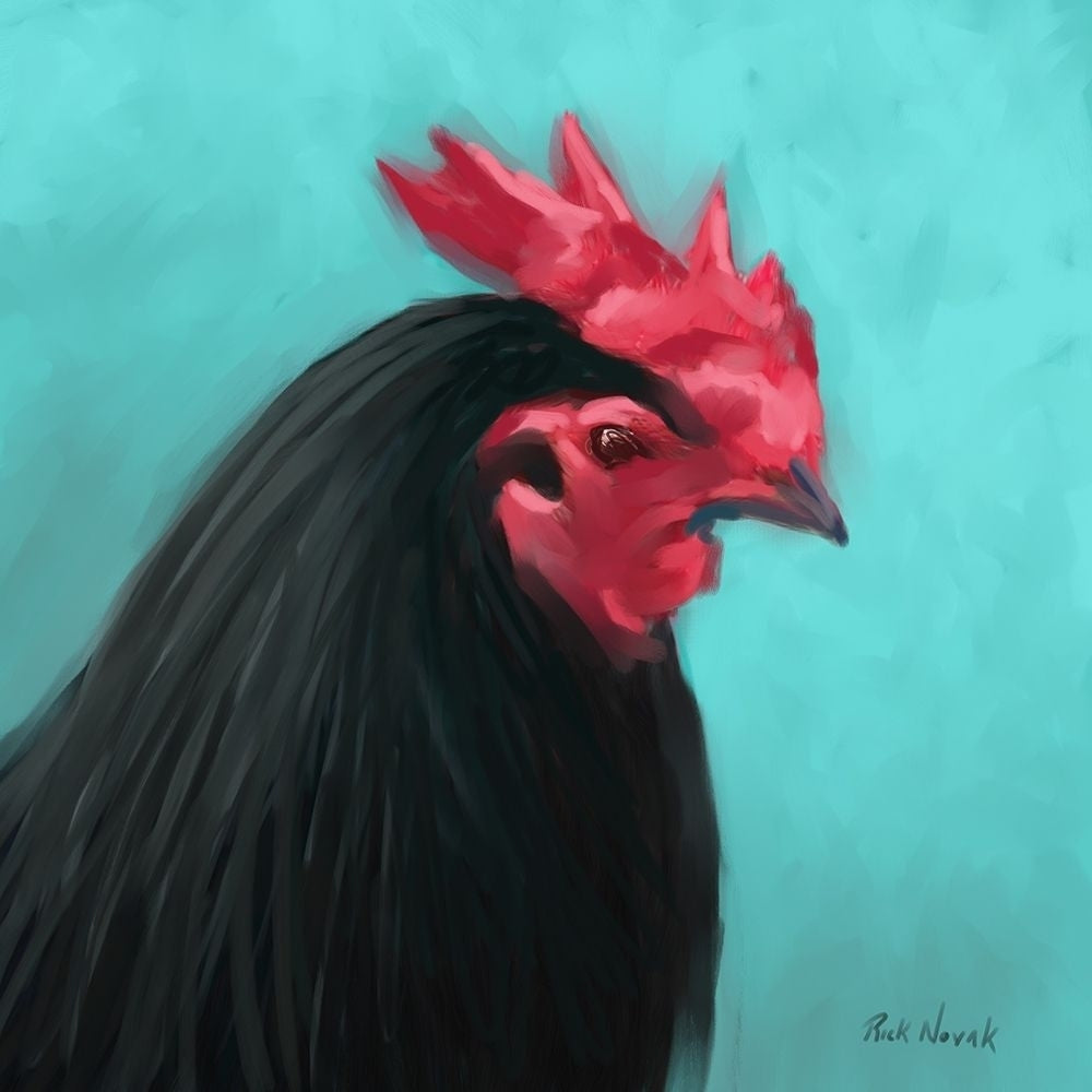 Rooster I by Rick Novak-VARPDX80499 Image 1