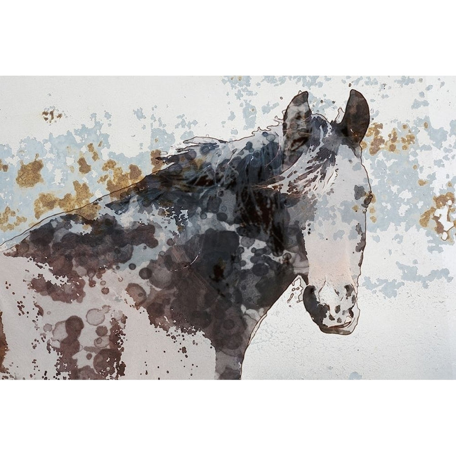 American Paint Horse by Irena Orlov-VARPDX80965 Image 1