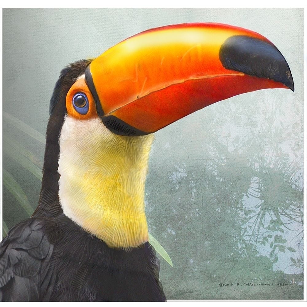 Toucan Portrait by Christopher Vest-VARPDX81138 Image 1