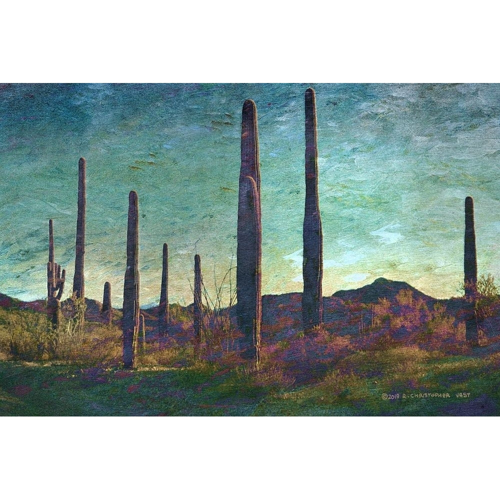 Saguaros Pastel by Christopher Vest-VARPDX81174 Image 1