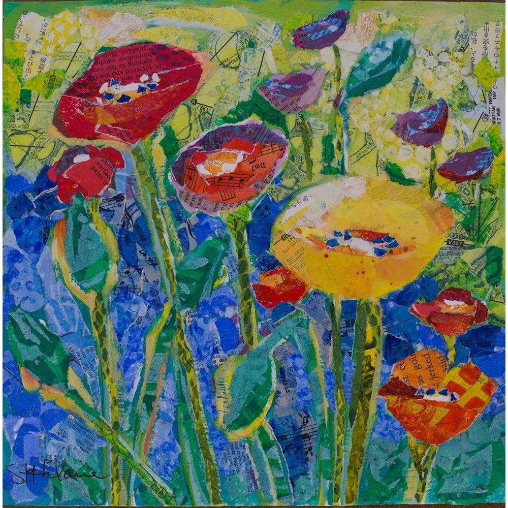 Field of Poppies by Elizabeth St Hilaire-VARPDX81239 Image 1