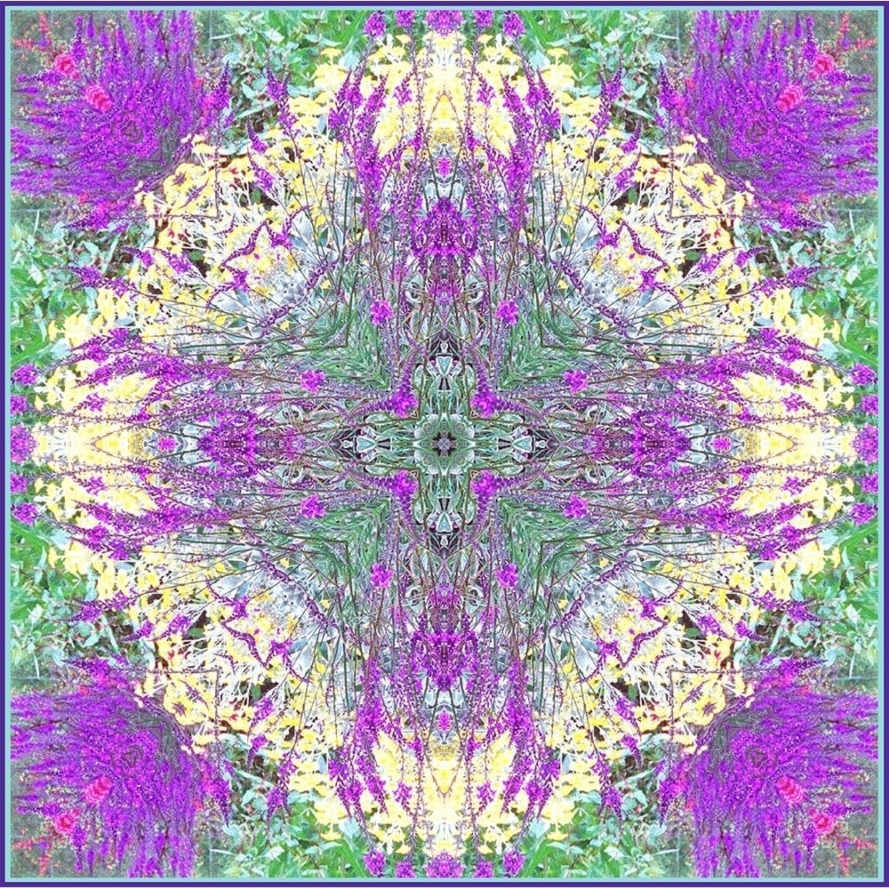 Mandala Larkspur by Judy Stalus-VARPDX81326 Image 1