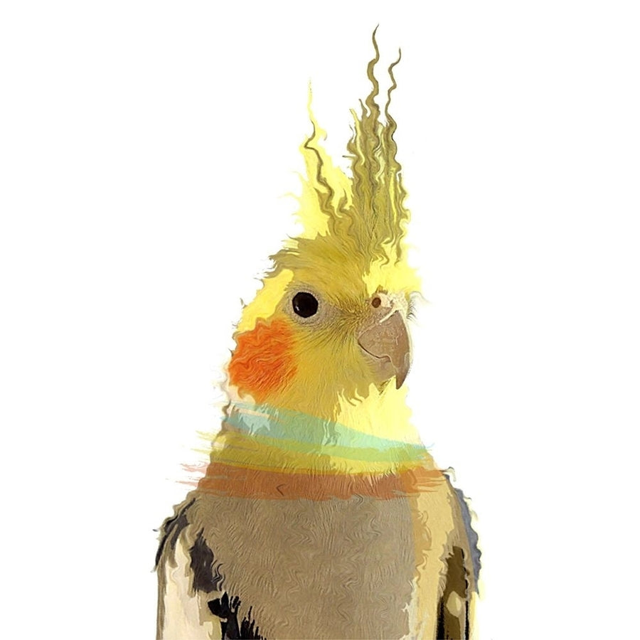 Cockatiel by Karen Smith-VARPDX81387 Image 1