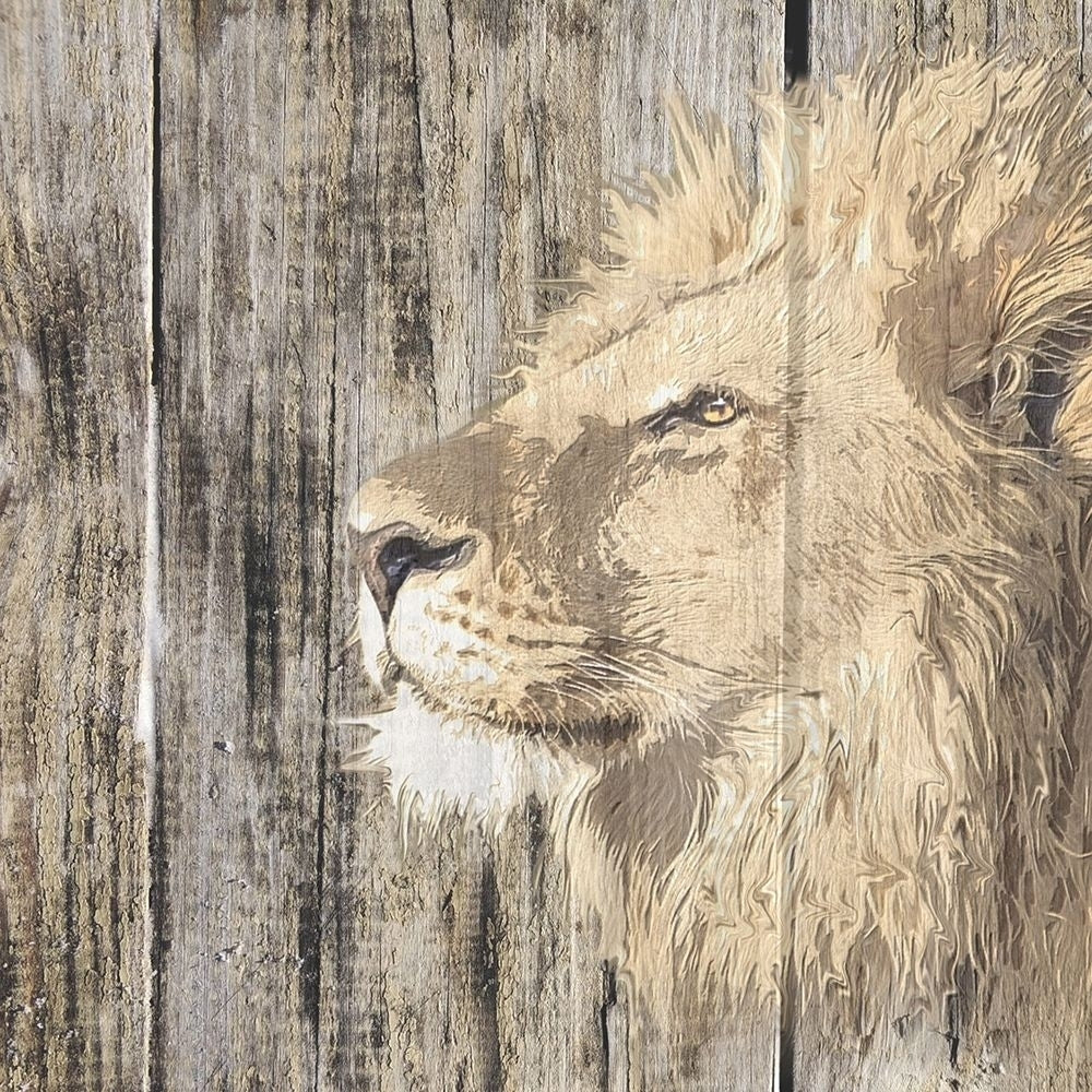 Wildheads Lion by Karen Smith-VARPDX81375 Image 1