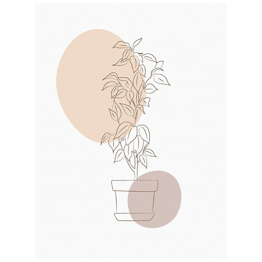 Abstract Minimal Flourish Pot by Sabrina Balbuena-VARPDX81513 Image 1