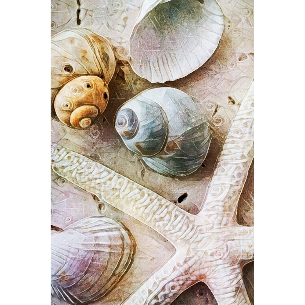 Seashells on Sand Starfish on Land I by Ashley Aldridge-VARPDX81632 Image 1