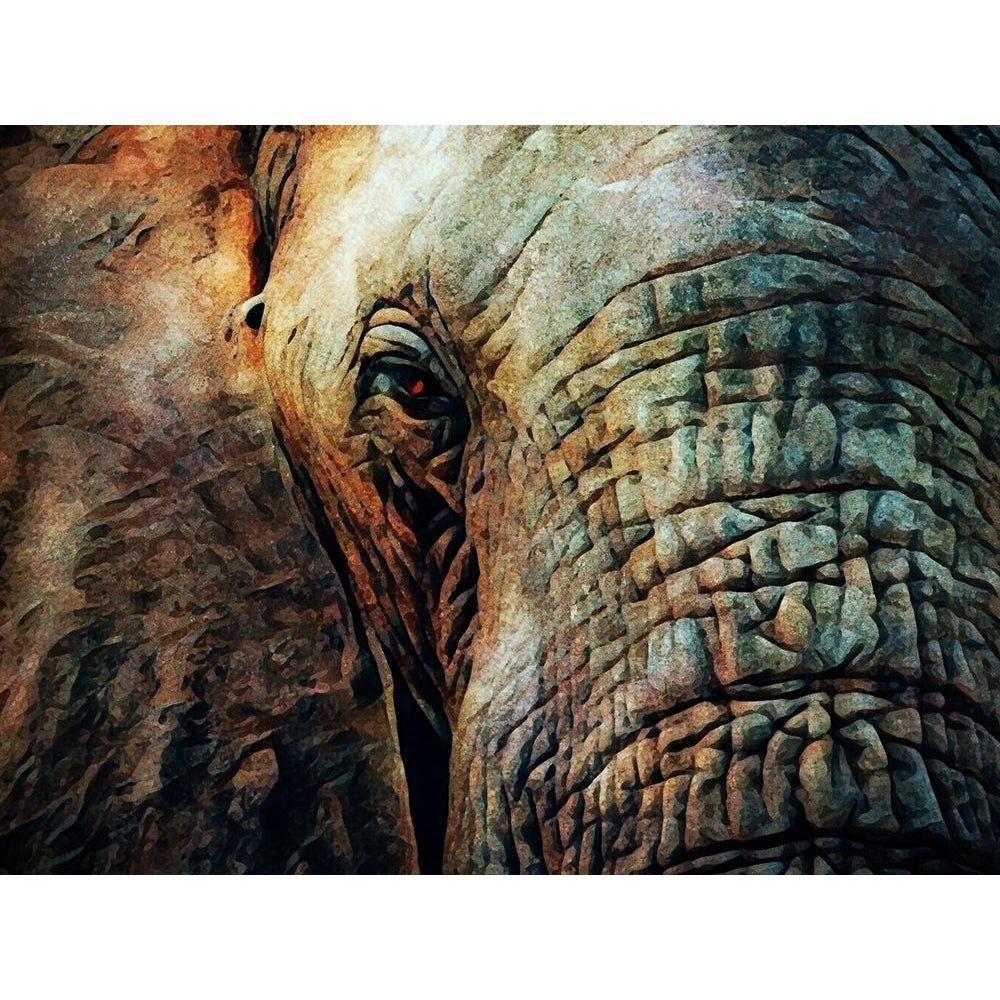 African Elephant Wise Eyes by Ashley Aldridge-VARPDX81680 Image 1