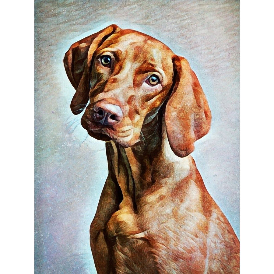 Hungarian Vizsla Adoration by Ashley Aldridge-VARPDX81662 Image 1