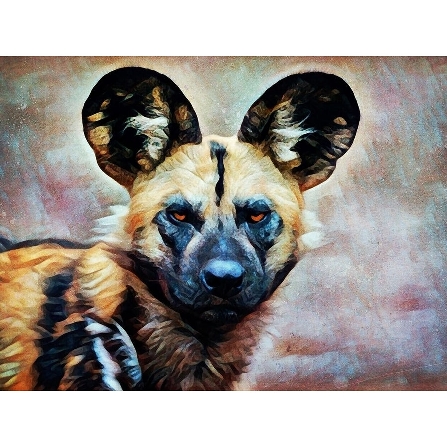 African Wild Dog Watch by Ashley Aldridge-VARPDX81677 Image 1