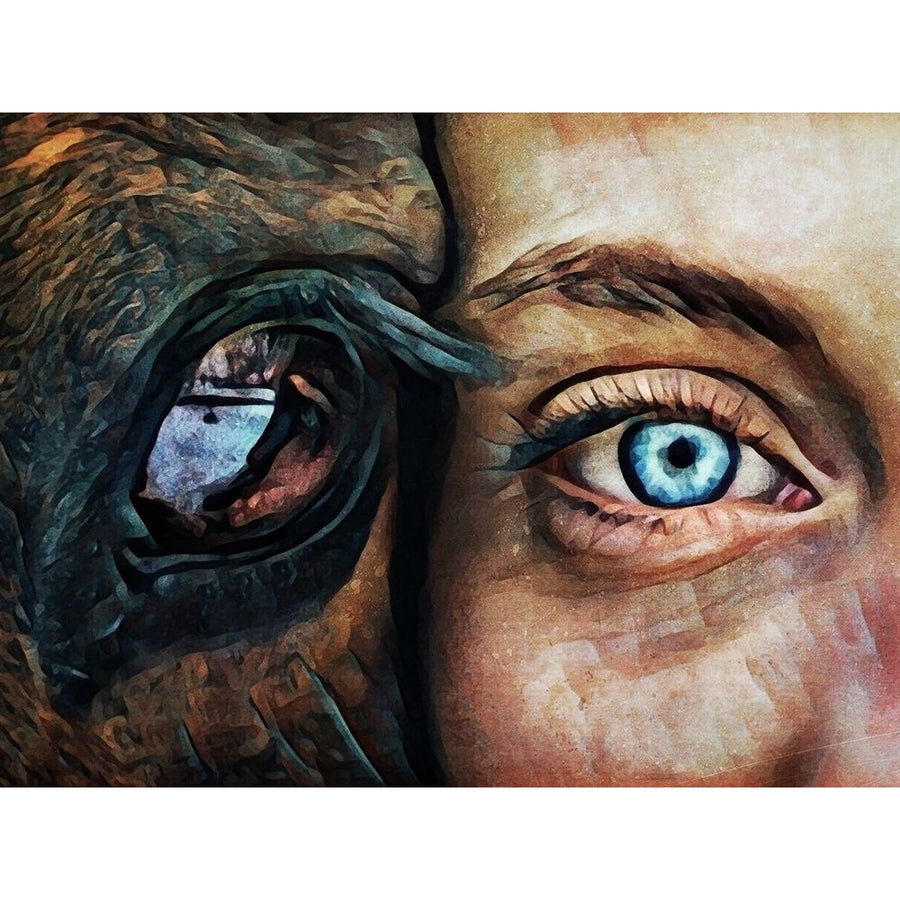 Eye to Eye by Ashley Aldridge-VARPDX81691 Image 1