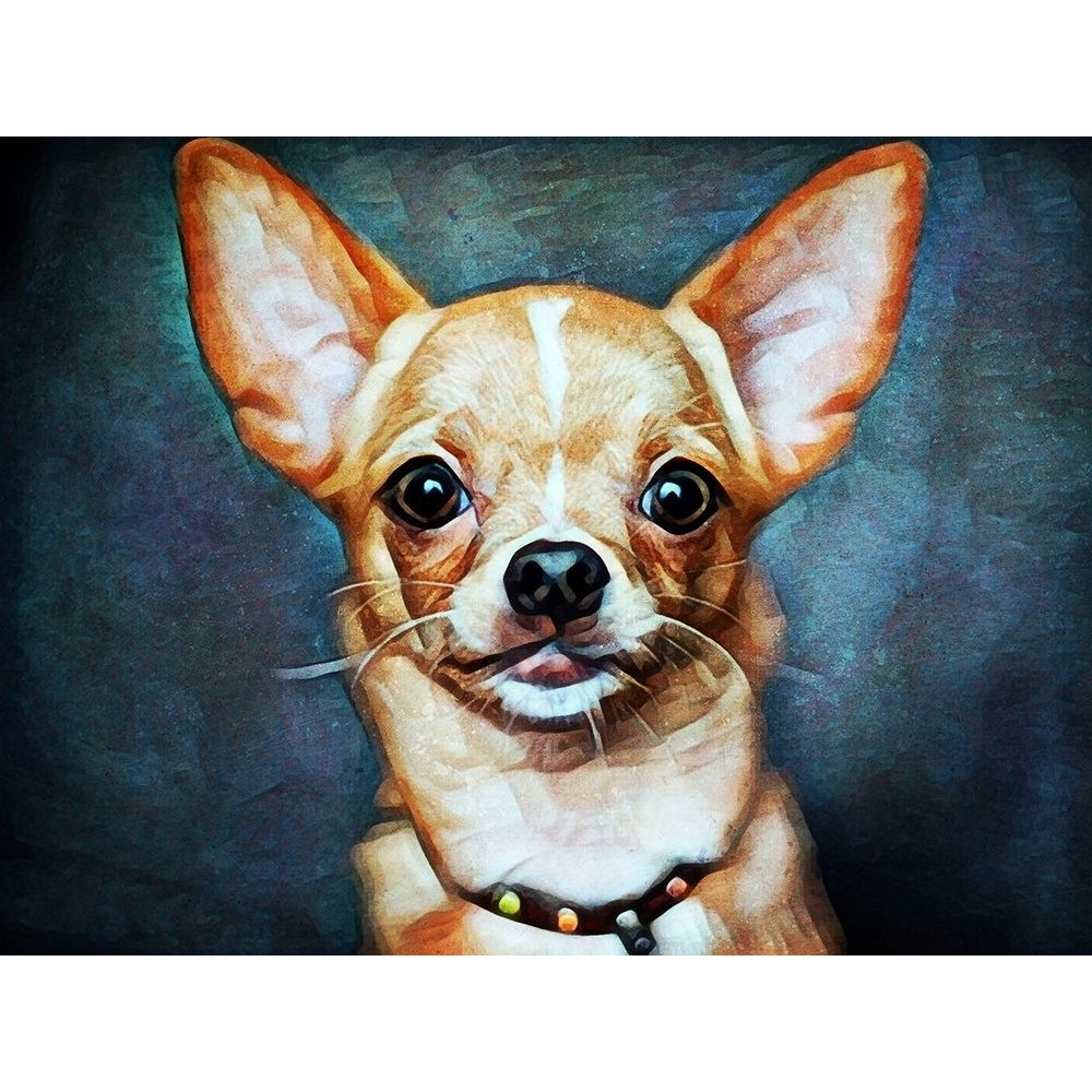 Chihuahua So Cheeky by Ashley Aldridge-VARPDX81692 Image 1