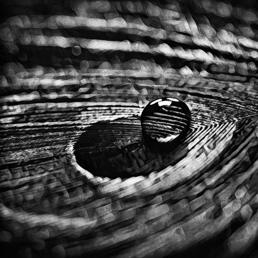 Monochrome Feather Droplet by Ashley Aldridge-VARPDX81750 Image 1