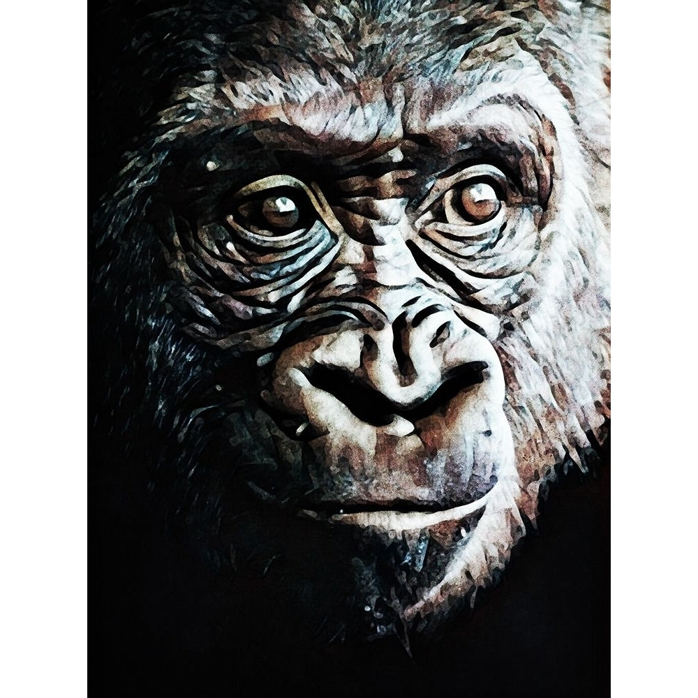 Primate Perfection I by Ashley Aldridge-VARPDX81738 Image 1