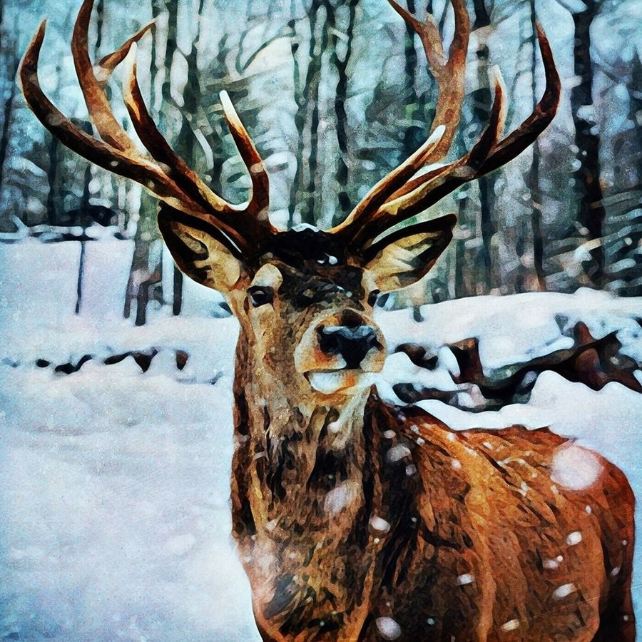 A Little Snow Here Reindeer by Ashley Aldridge-VARPDX81747 Image 1