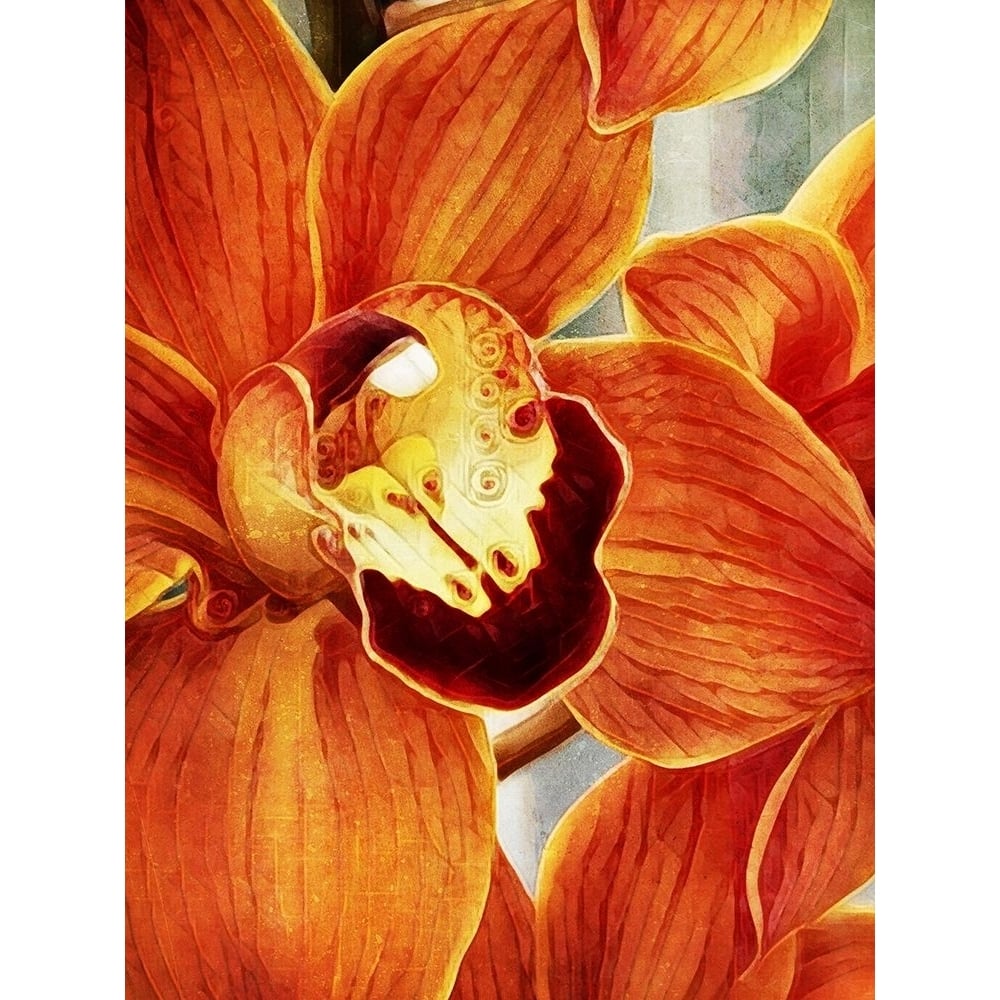 Orange Orchid by Ashley Aldridge-VARPDX81765 Image 1