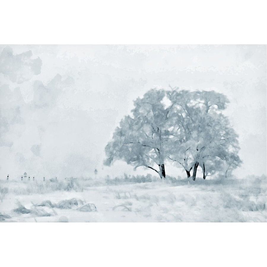 Snow Tree Poster Print - Kim Curinga-VARPDX81838 Image 1