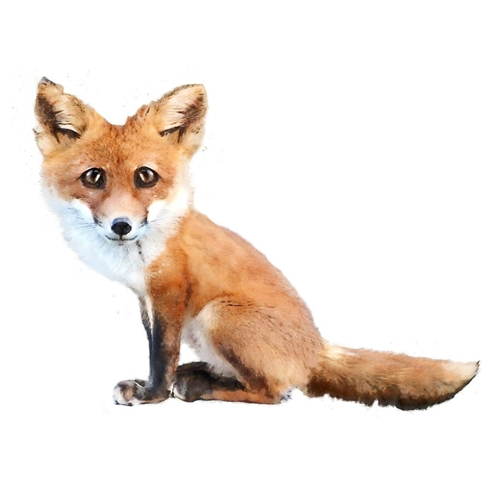 Foxy Baby Poster Print - Kim Curinga-VARPDX81870 Image 1