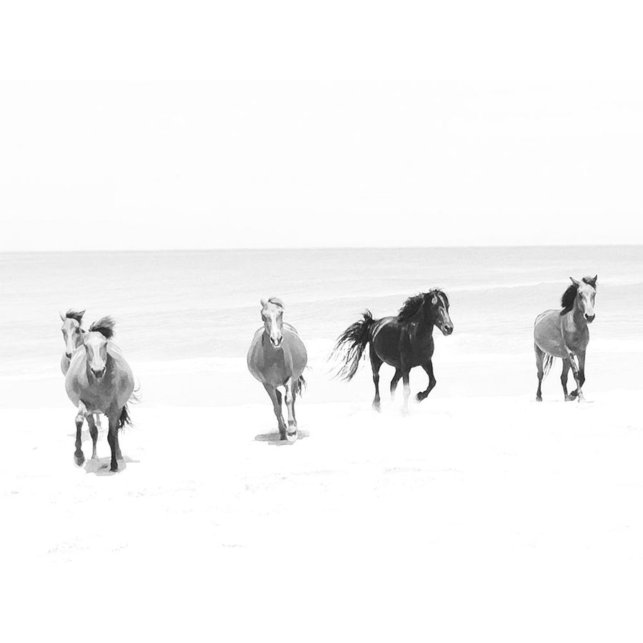 Beach Horses Running Poster Print - Kim Curinga-VARPDX81892 Image 1