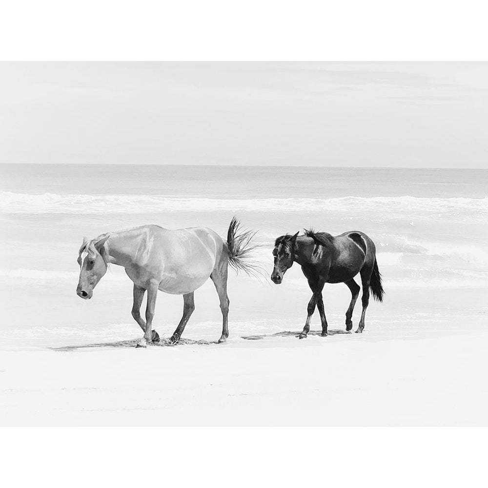 Beach Horse Duo Poster Print - Kim Curinga-VARPDX81887 Image 1