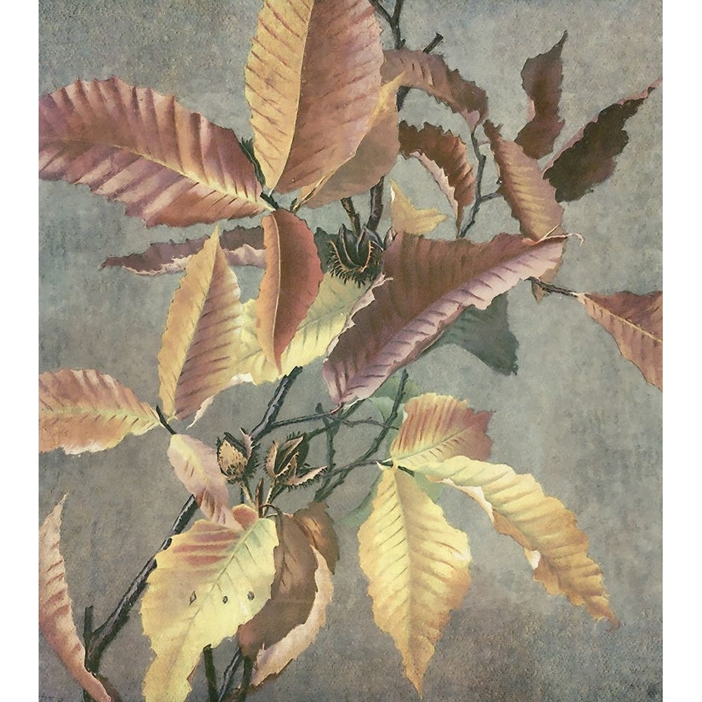 Ancient Autumn I Poster Print - Steve Hunziker-VARPDX81972 Image 1