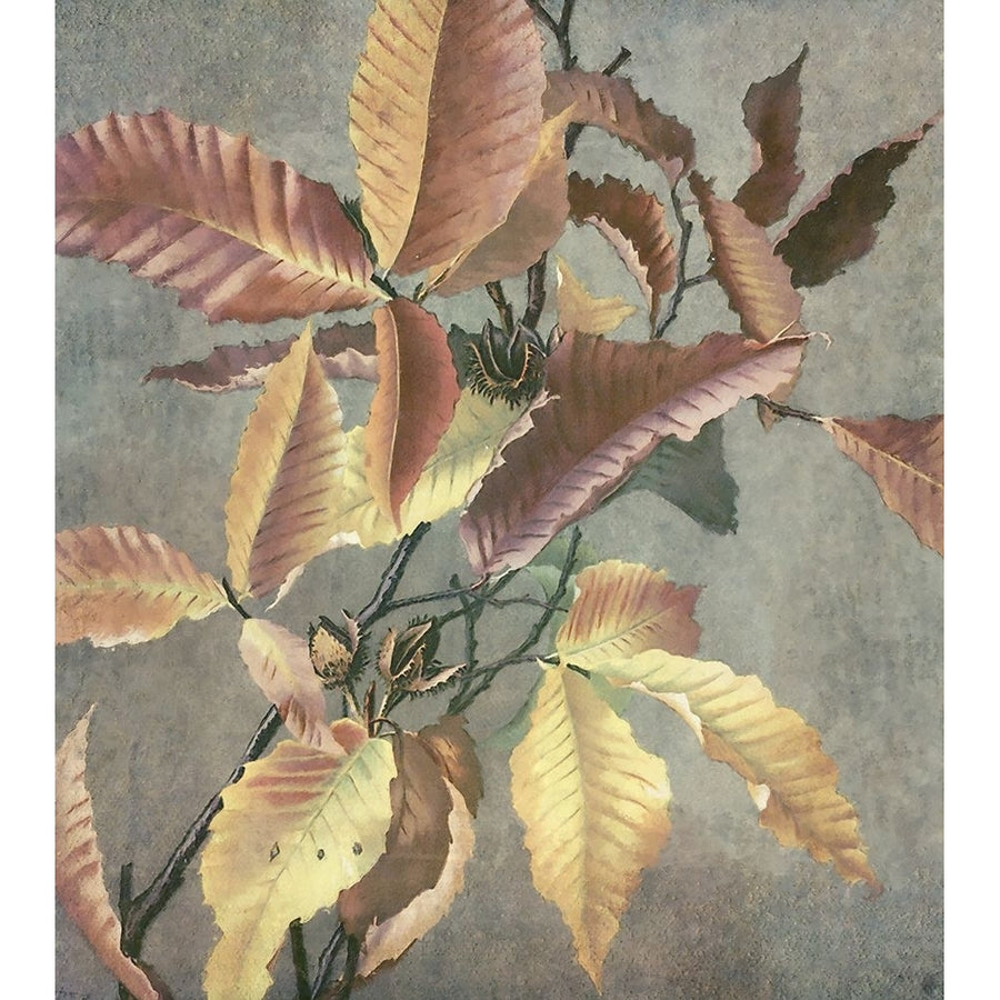 Ancient Autumn I Poster Print - Steve Hunziker-VARPDX81972 Image 1