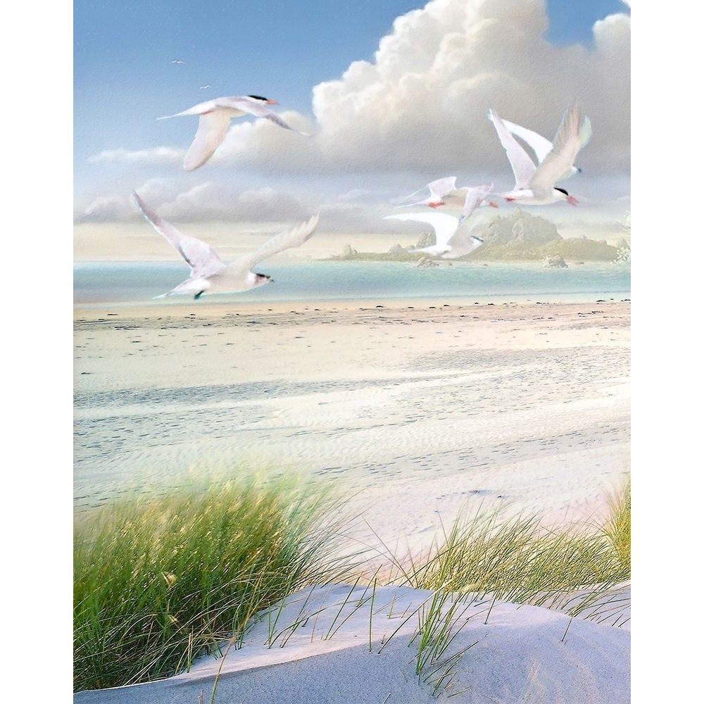 Celestial Tern I Poster Print - Steve Hunziker-VARPDX81993 Image 1