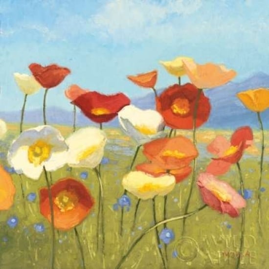 Springtime Meadow II Poster Print by Shirley Novak-VARPDX8199 Image 1