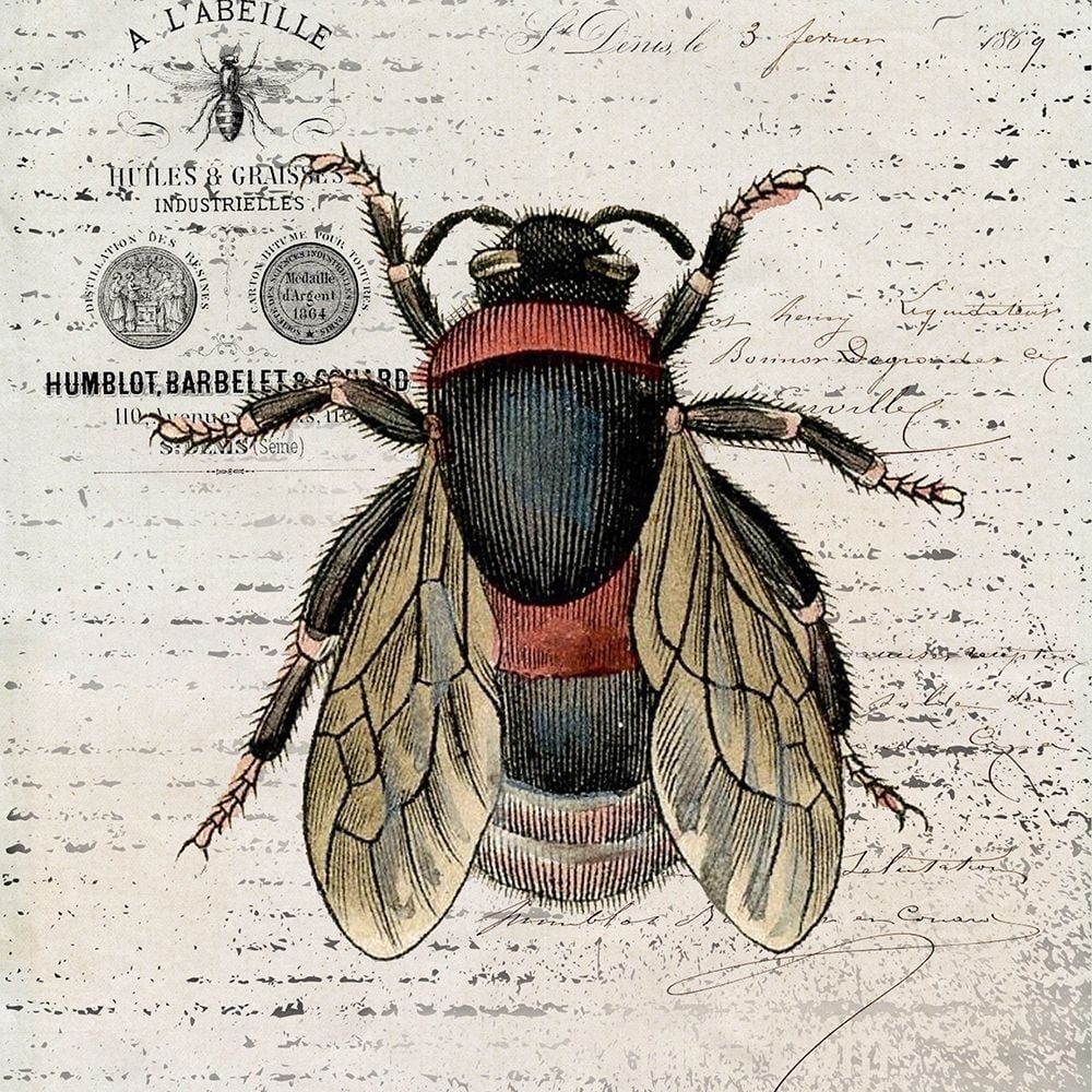 History Bee I Poster Print - Karen Smith-VARPDX82357 Image 1