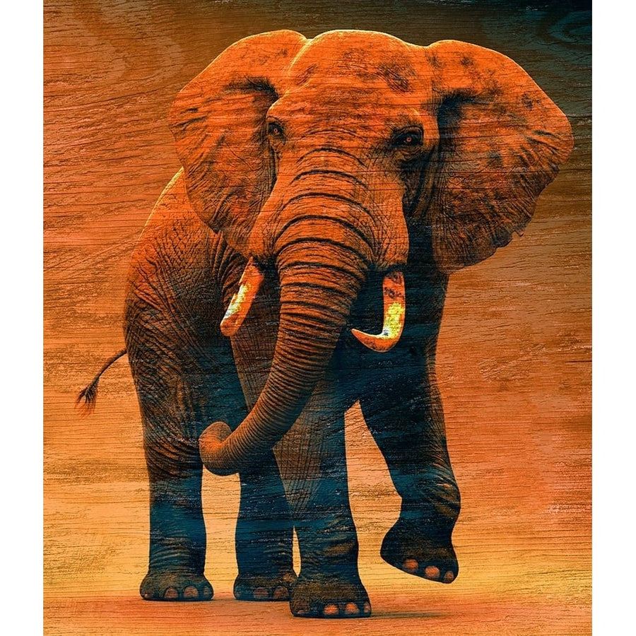 Sunset Savanna Poster Print - Surma And Guillen-VARPDX82407 Image 1