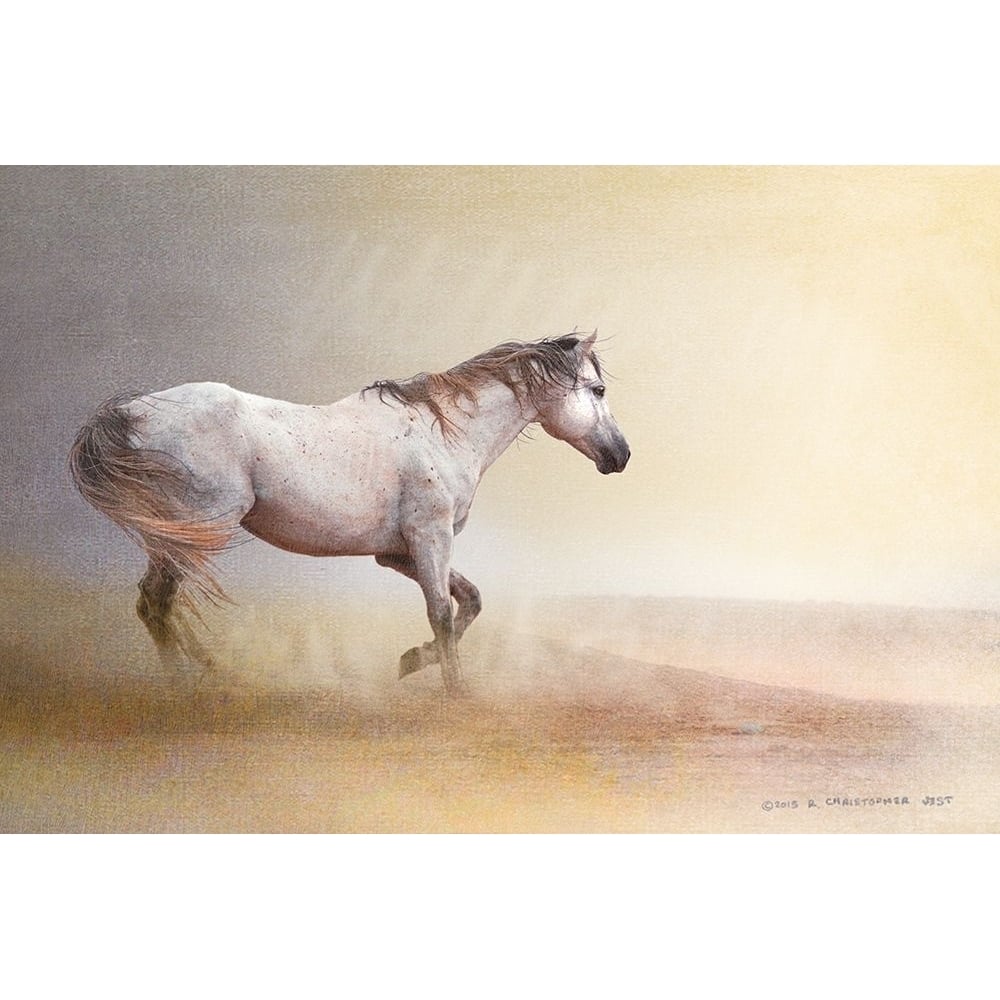 Dust Storm White Horse Poster Print - Christopher Vest-VARPDX82825 Image 1