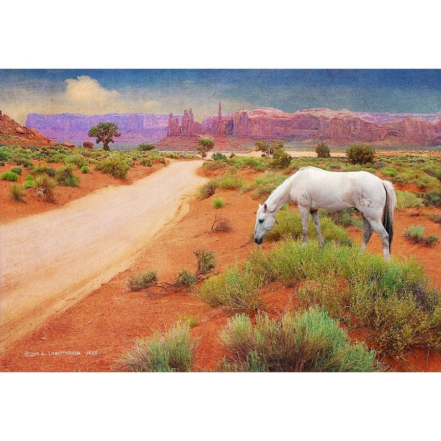 White Horse Road in Monument Valley Poster Print - Christopher Vest-VARPDX82827 Image 1