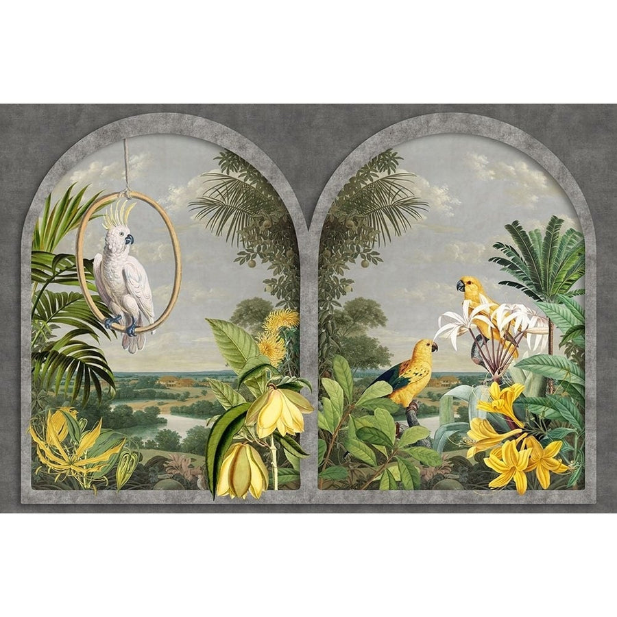 Window with Birds Poster Print - Andrea Haase-VARPDX83049 Image 1