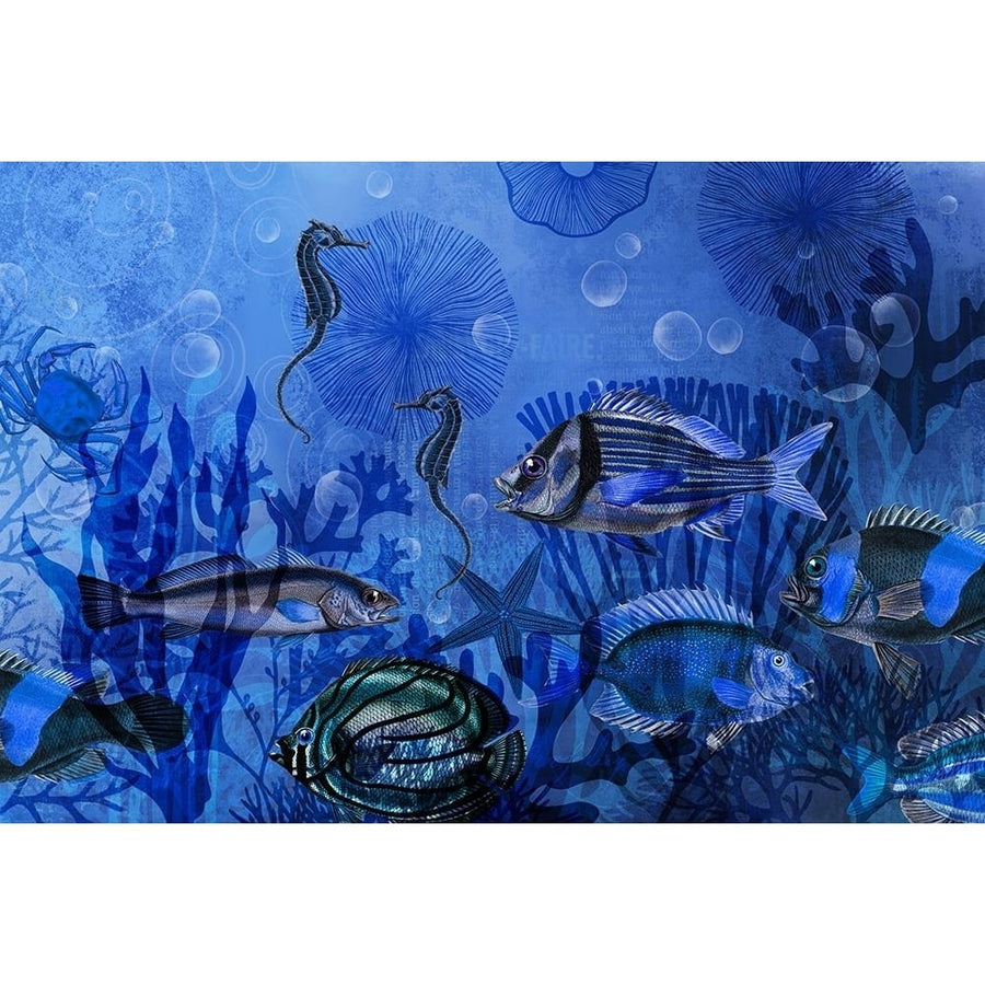 Magic Underwater World Poster Print - Andrea Haase-VARPDX83104 Image 1