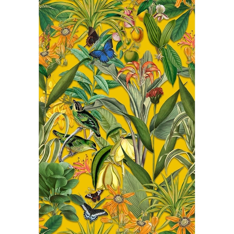 The Jungle of the Birds Poster Print - Andrea Haase-VARPDX82925 Image 1