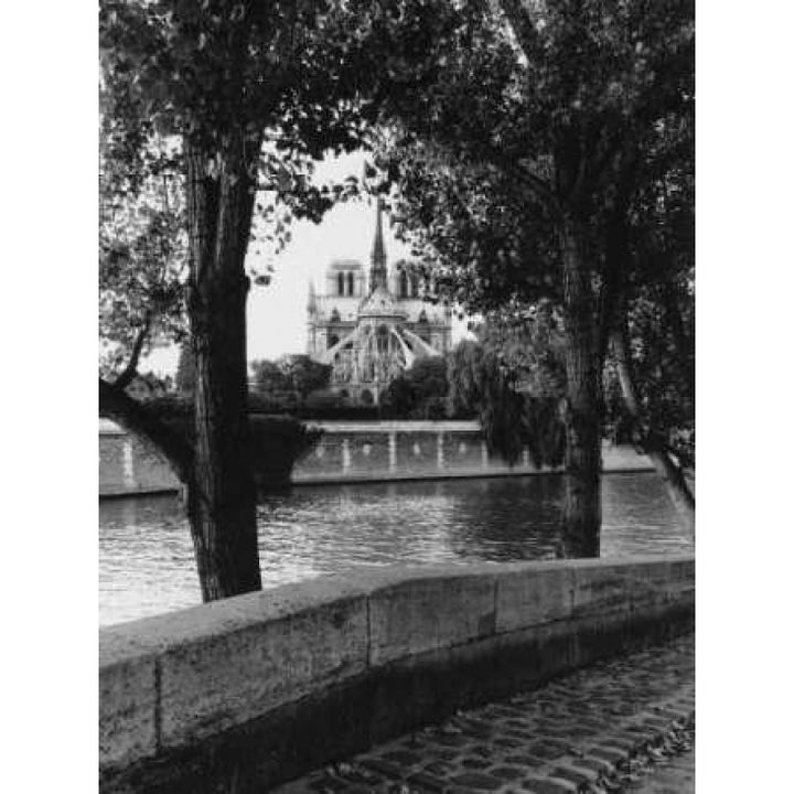 Notre Dame Poster Print by Clay Davidson-VARPDX8289 Image 1