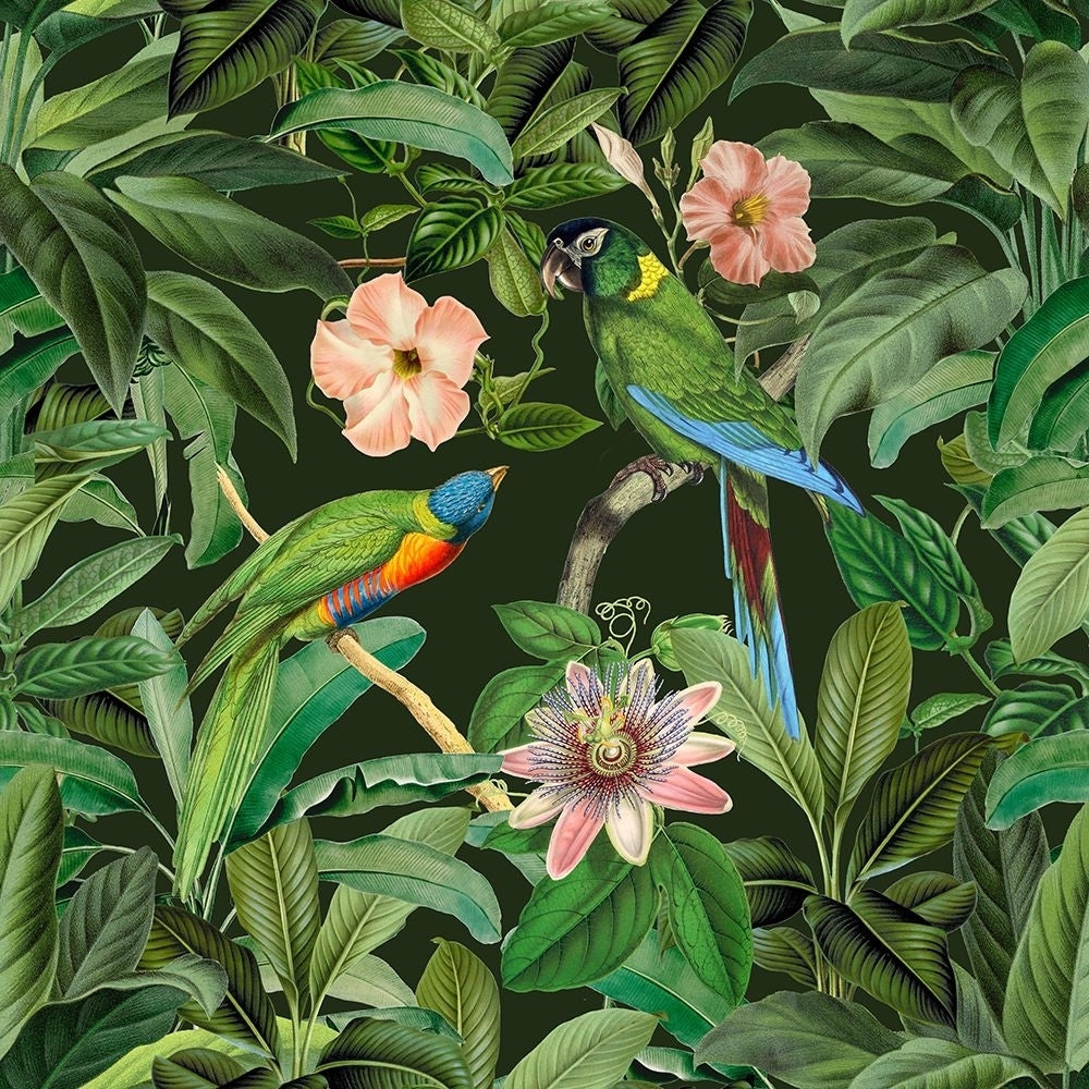 Exotic Paradise Jungle Birds Poster Print - Andrea Haase-VARPDX83002 Image 1