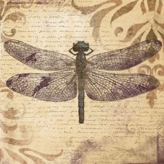 Dragonfly Poster Print by Patricia Pinto-VARPDX8299 Image 1