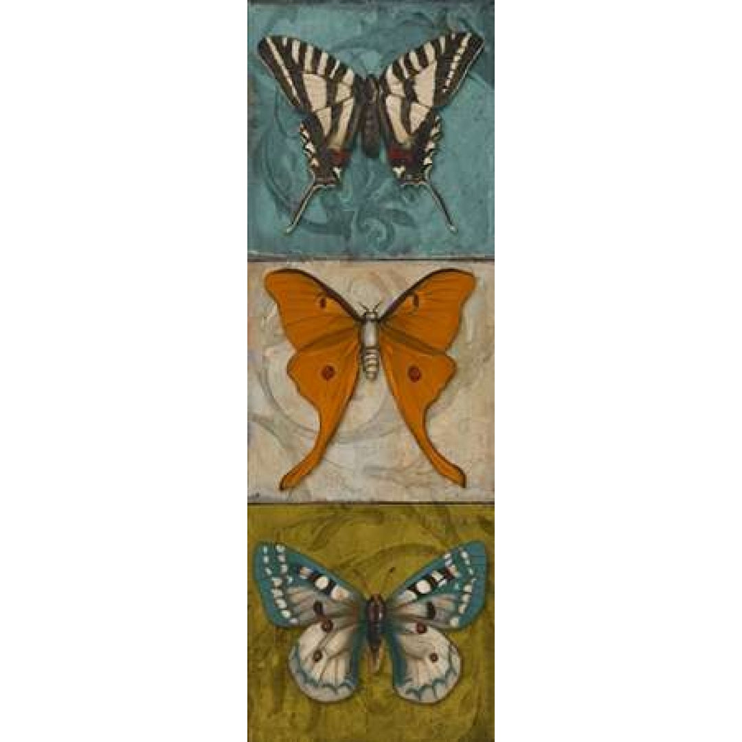 Blue Wings I Poster Print by Patricia Pinto-VARPDX8300D Image 1