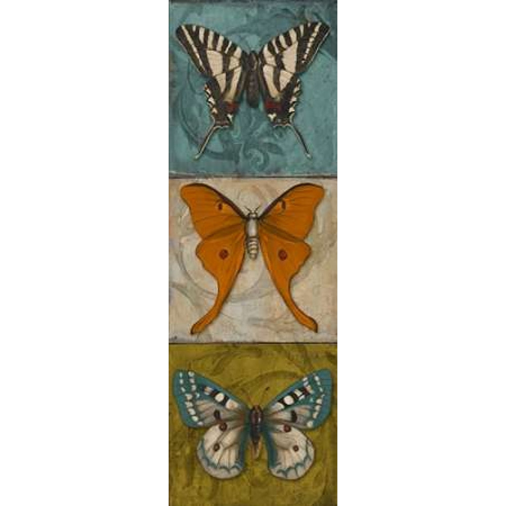 Blue Wings I Poster Print by Patricia Pinto-VARPDX8300D Image 2