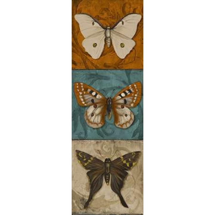 Blue Wings II Poster Print by Patricia Pinto-VARPDX8301D Image 1