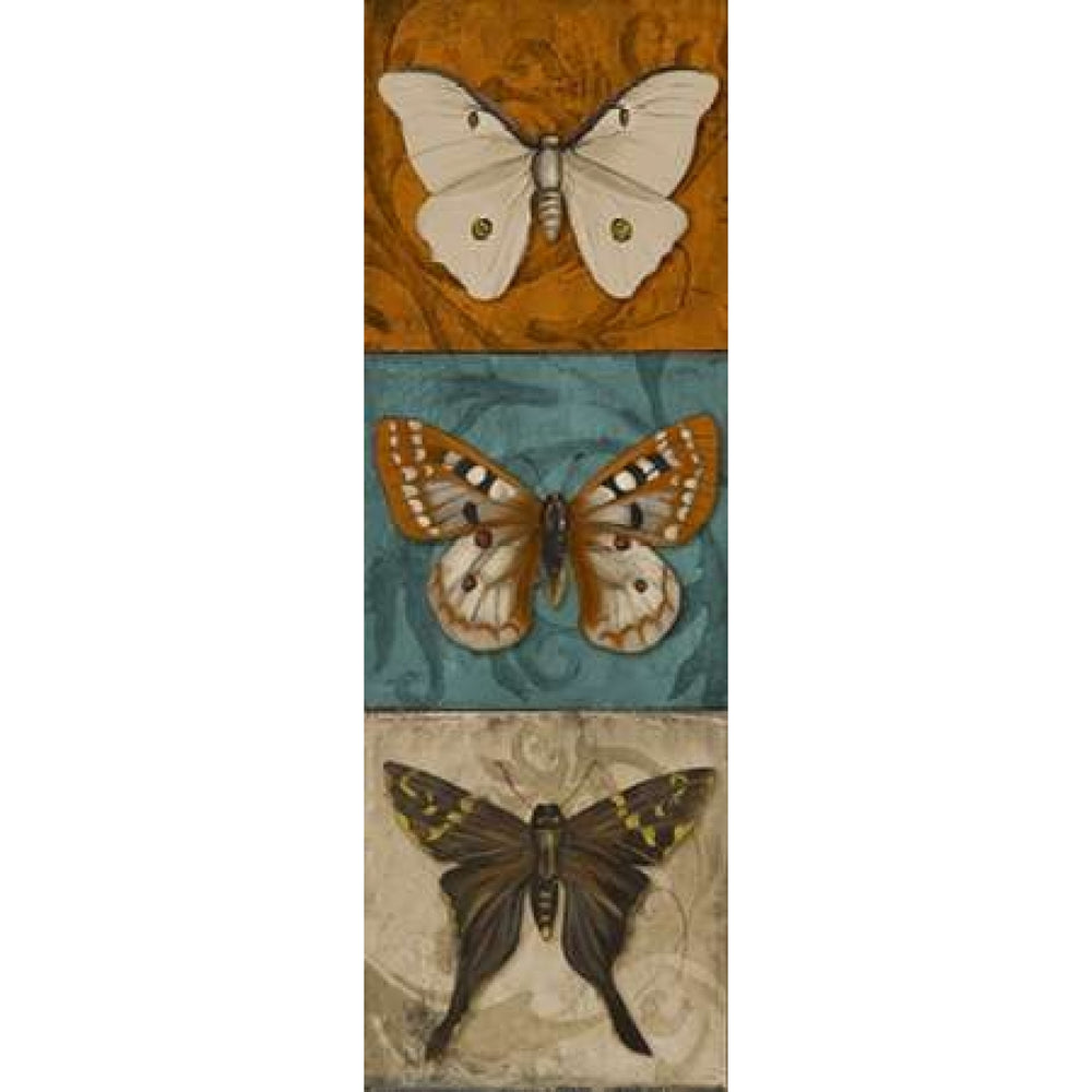 Blue Wings II Poster Print by Patricia Pinto-VARPDX8301D Image 2