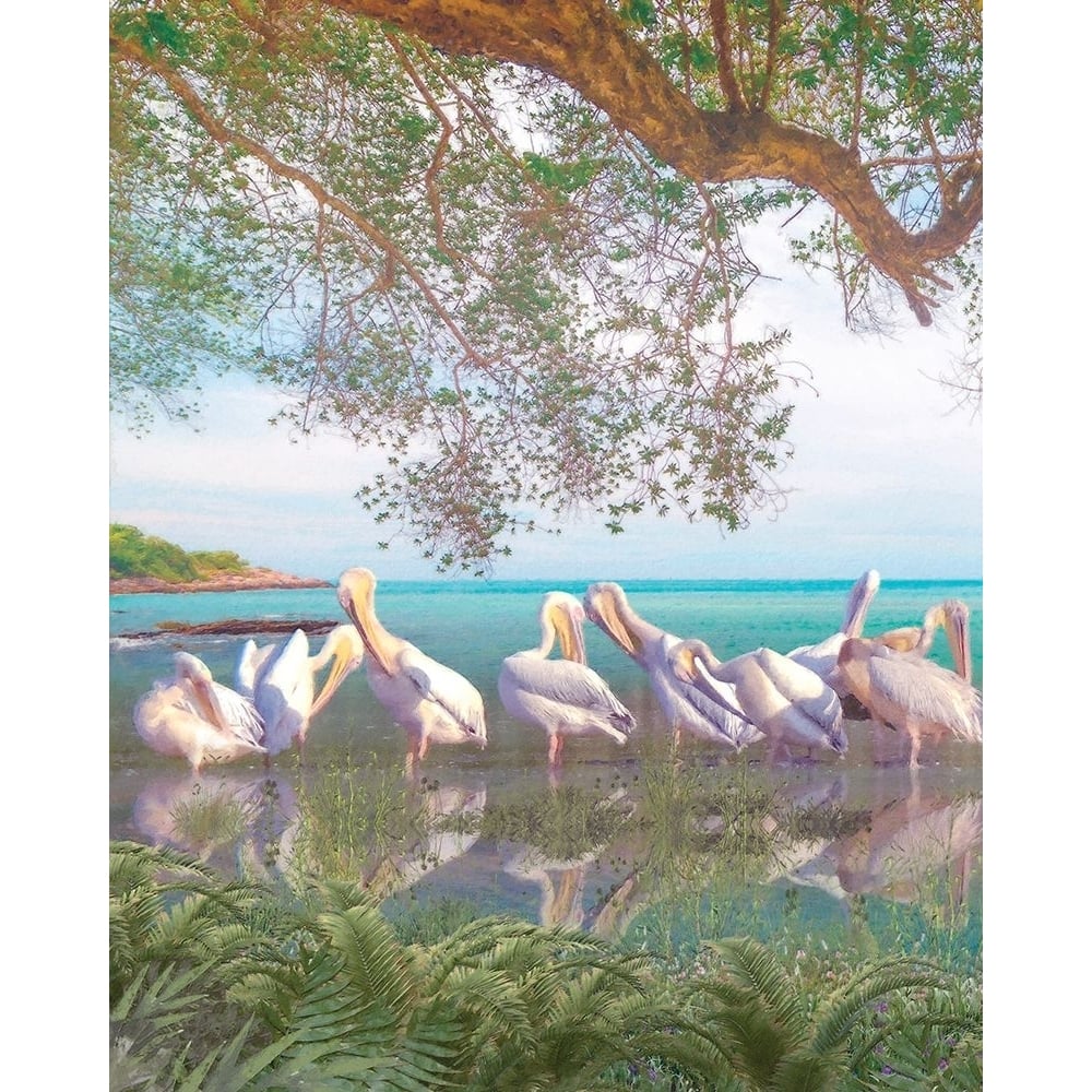 Coastal Plumage Poster Print - Steve Hunziker-VARPDX83198 Image 1