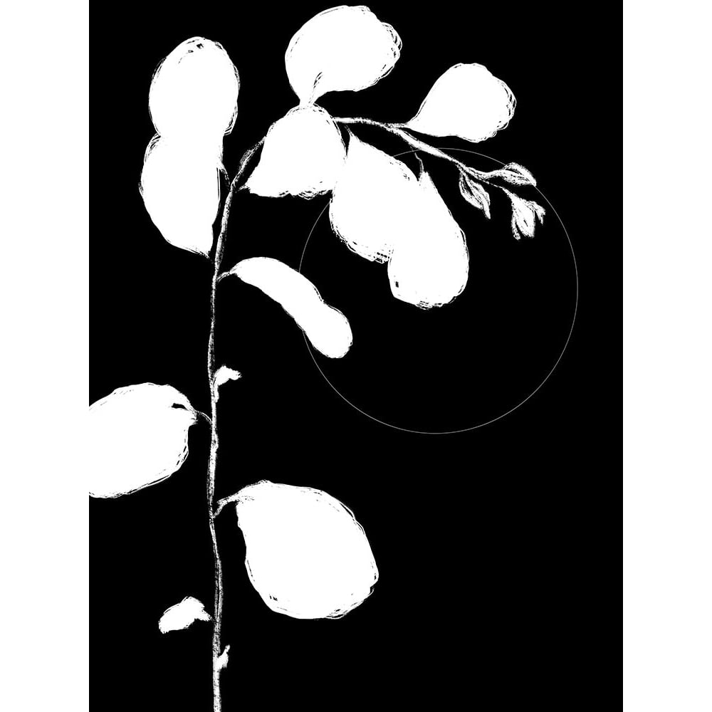 Botanical Silhouette I Poster Print - Nicholas Holman-VARPDX83457 Image 1