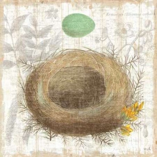 Botanical Nest II Poster Print by Moira Hershey-VARPDX8384 Image 1