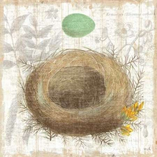 Botanical Nest II Poster Print by Moira Hershey-VARPDX8384 Image 2