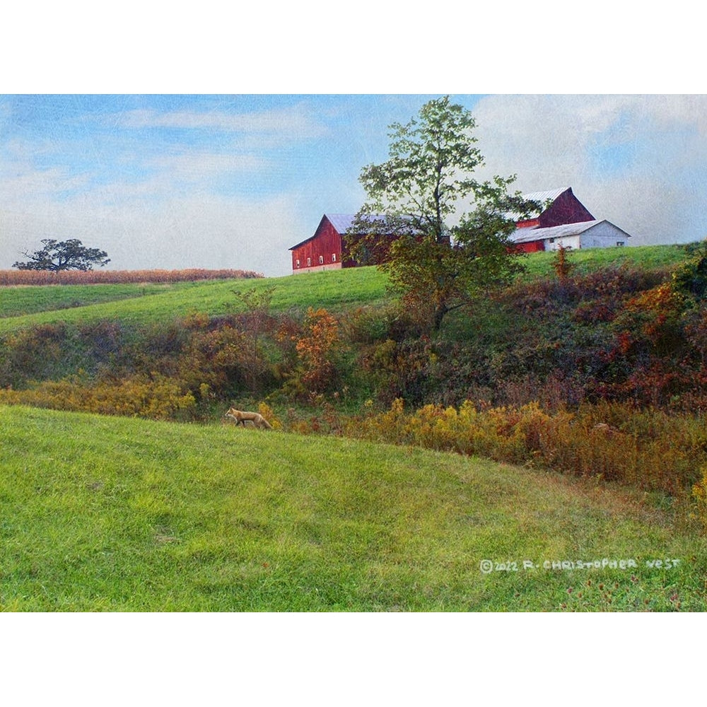 Ohio Barn with Red Fox Poster Print - Christopher Vest-VARPDX84076 Image 1